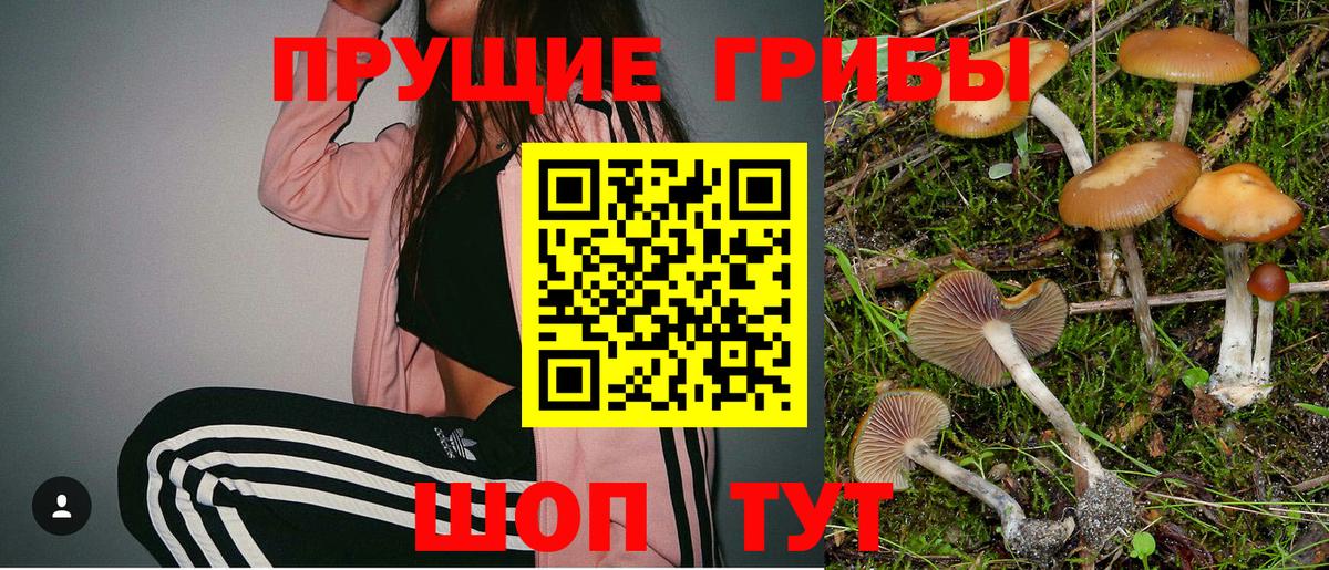Феодосия  Псилоцибиновые грибы Cubensis  Вход с VPN 